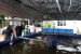 Jaga Ekosistem Waduk, Wakil Kepala BP Batam Tebar Benih Ikan di Waduk Sei Ladi